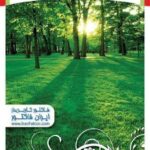 فاکتور ایران فاکتور کاربن دار کوچک 21